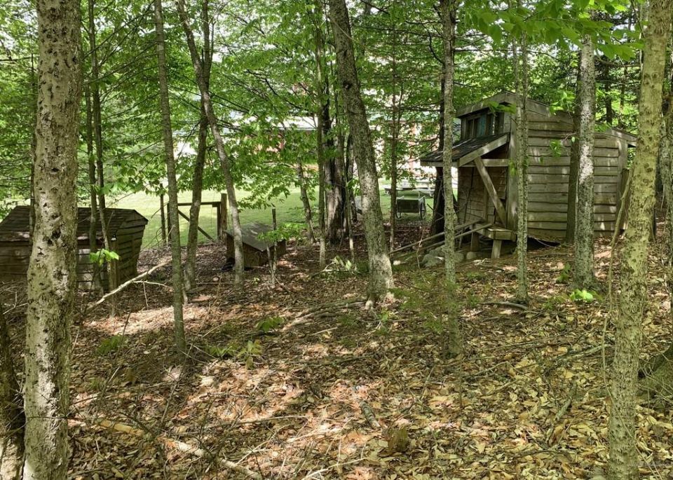 Wooden sheds and trees in a wooded area. Watermark reads SUPER MOTORS
