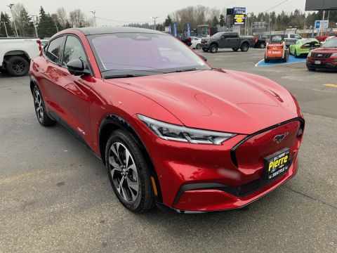 2021 Ford Mustang “Mach-E”