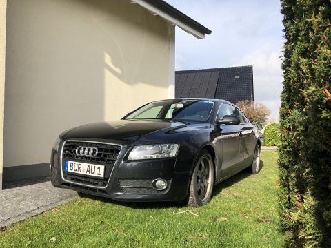 2010 Audi A4 photo
