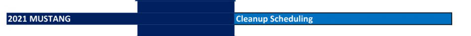 document with text '2021 MUSTANG' and 'Cleanup Scheduling'