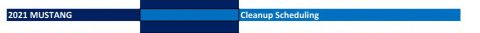 2021 Ford Mustang - Document displays '2021 MUSTANG' and 'Cleanup Scheduling' text.