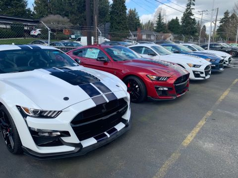 2020 Ford Mustang - A row of Ford Mustang Shelby GT500s are parked in a lot, with a white one in the foreground.