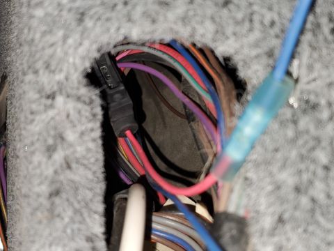 2005 Tracker Tournament - A complex electrical wiring harness is visible, with multiple wires connected to a black connector.