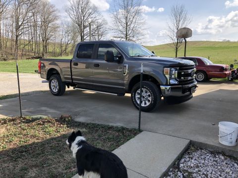2021 Ford F-250 - Gray 2021 Ford F-250 Super Duty pickup truck parked in a driveway with a dog in the foreground.