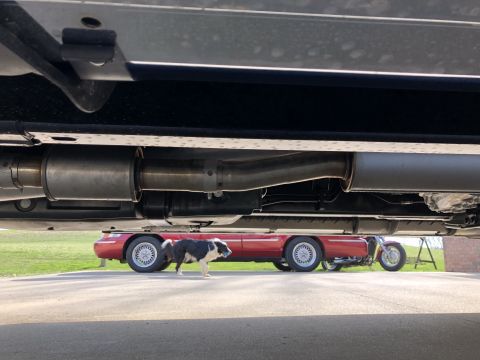 2021 Ford F-250 - A dog stands next to a red trailer, with a motorcycle visible behind it, viewed from beneath another vehicle.