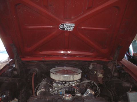 1967 Ford Galaxie - SuperFord.org sticker!