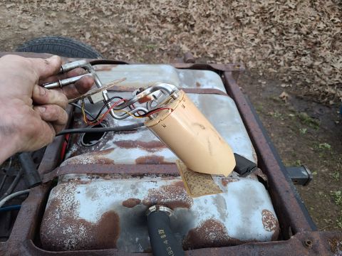1995 Ford F-150 - A person is removing a fuel pump assembly from a vehicle's fuel tank.