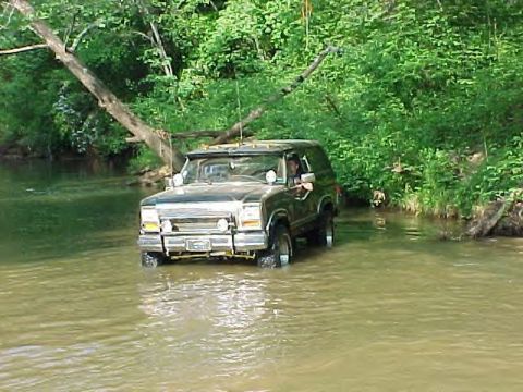 1986 Ford F-150 - A dark green 1987 Ford Bronco navigates a shallow stream surrounded by lush green foliage.