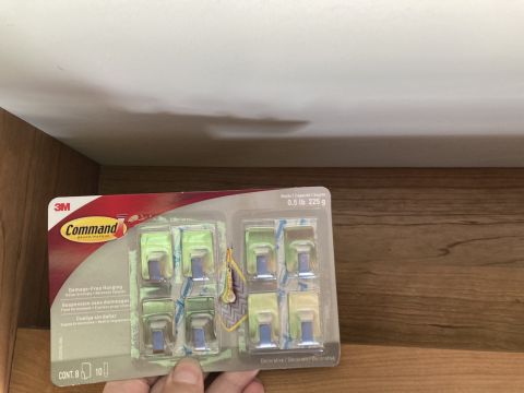 2015 Ford F-550 - Hand holding a 3M Command brand decorative damage-free hanging hooks package containing 8 hooks and 10 strips.