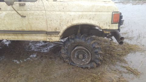 1988 Ford Bronco photo