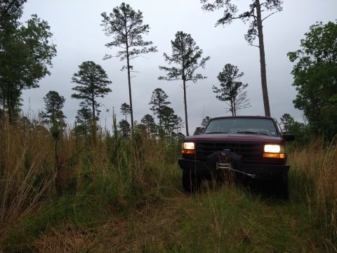 1996 Ford Bronco - A maroon 1996 Ford Bronco equipped with a winch sits in a field of tall grass under an overcast sky.