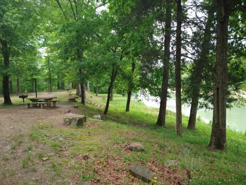 1996 Ford Bronco - A park scene with picnic tables and grills is visible next to a body of water surrounded by trees.