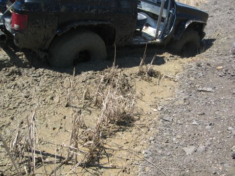 1978 Ford Bronco photo
