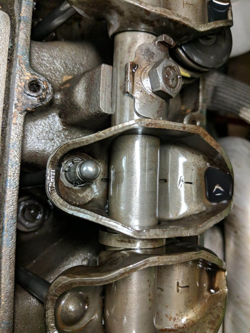 Close-up of internal engine components: rocker arms, pushrods, valve stems, and oil.