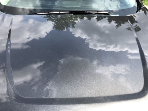2019 Ford Everest - The metallic gray hood of a 2019 Ford Everest reflects a cloudy sky and trees. The windshield wipers are visible at the top of the hood.