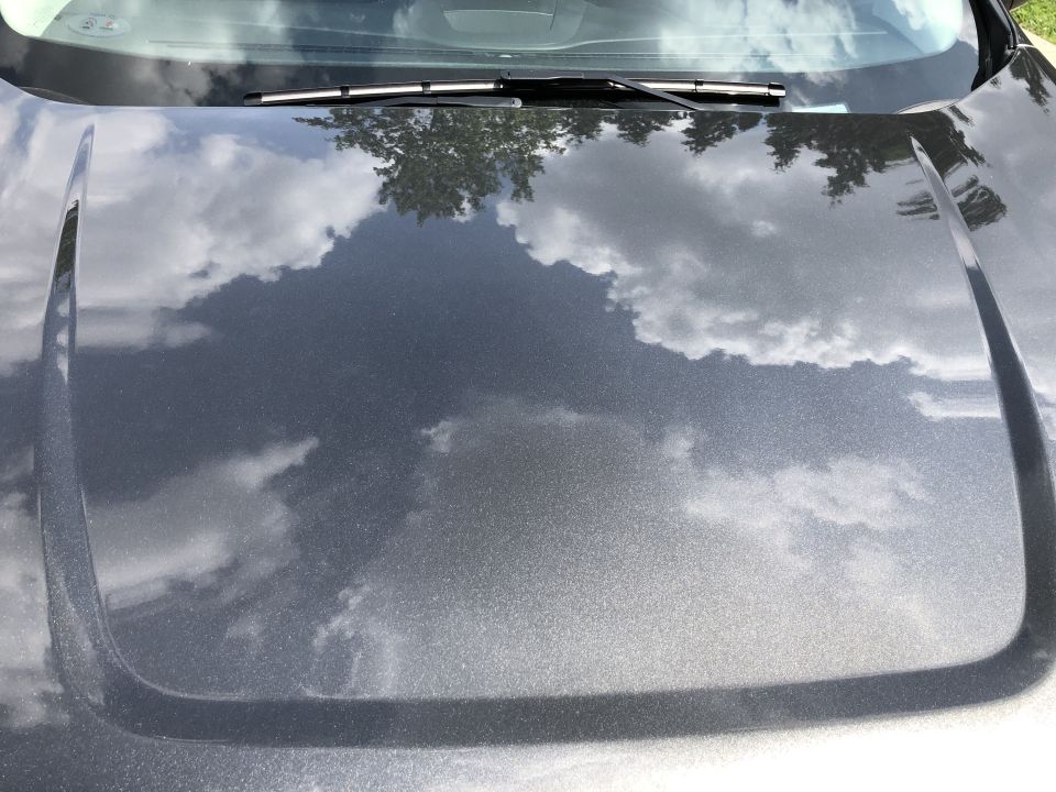 Metallic gray Ford Everest hood reflecting a cloudy sky and trees.