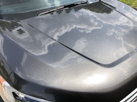 2019 Ford Everest - The metallic gray hood of a 2019 Ford Everest reflects the sky and trees. The vehicle is parked outdoors on a sunny day.