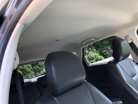 2019 Ford Everest - The interior of a vehicle shows the back seats and headrests, with a view of green trees through the rear windows.