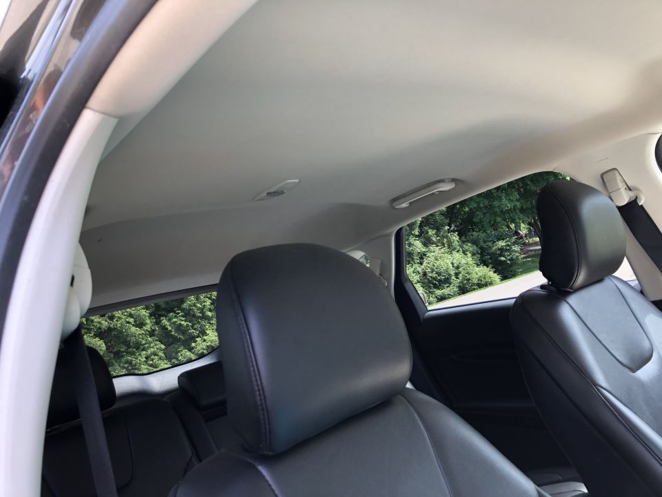 Interior view of car back seats and headrests, with trees visible through rear windows.
