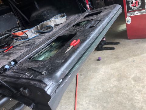1978 Ford Bronco - Tailgate removed from a vehicle, showing interior components and a dog resting below.