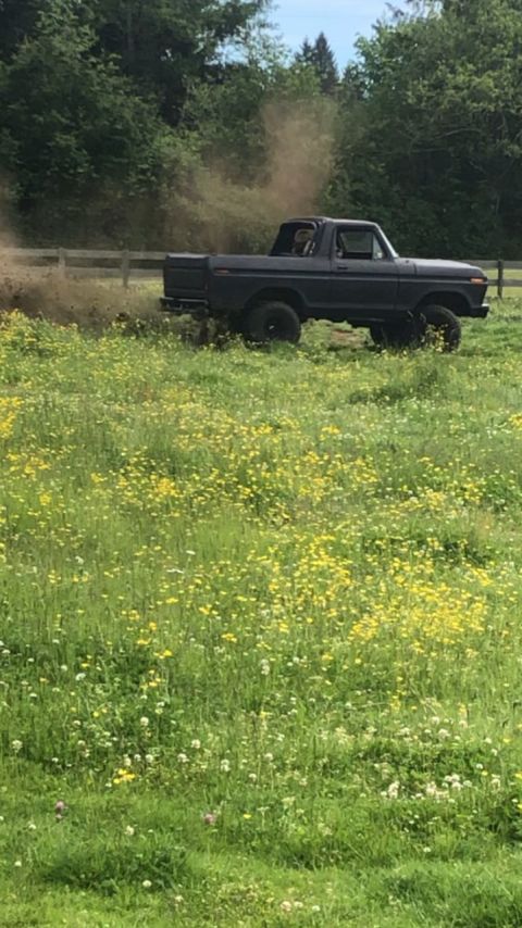 1978 Ford Bronco - A dark pickup truck kicks up a cloud of dust as it drives through a field of yellow wildflowers.