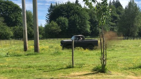 1978 Ford Bronco - 1979 Ford F-150 pickup truck driving in a field.