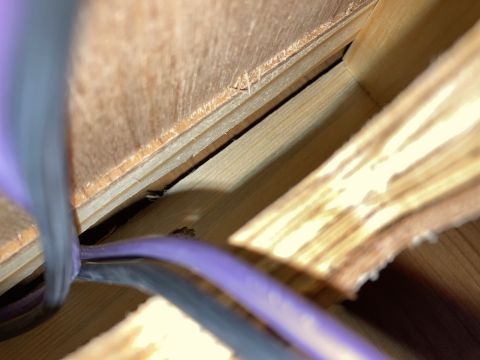 2015 Ford F-550 - Wires are visible within a wooden construction, with a Supermotors.net logo in the corner.