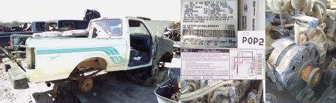 1983 Ford Bronco - 94 F150 4.9L 2WD manual with sport stripes & (oddly) 2G alternator