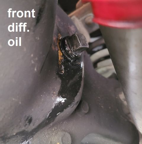 1995 Ford Bronco - The front diff oil looks OK, and is very slightly over full. There is no indication it has ever been changed, and it doesn't need to be.