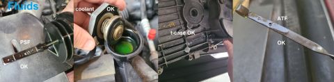 1995 Ford Bronco - Most of the other fluids look OK and are at the correct levels, but it's hard to know how old they are. R&R power steering fluid (includes…