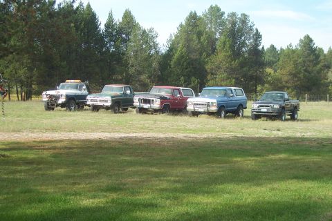 1977 Ford F-150 - A collection of vintage Ford trucks and SUVs are lined up in a field with trees in the background.