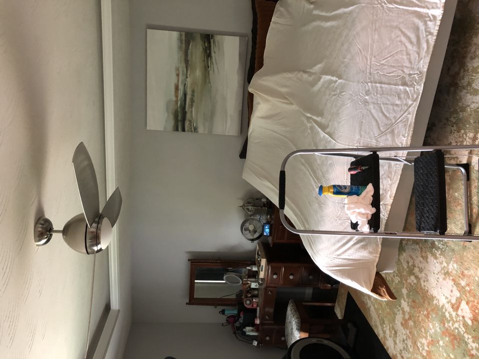 Bedroom with bed, dresser, mirror, and ceiling fan.