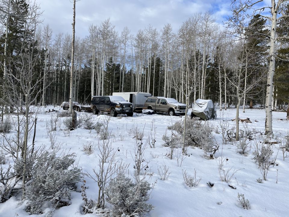 Two pickup trucks and a trailer in a snowy forest.