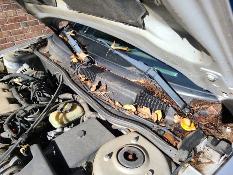 2003 Pontiac Grand Am - There's a colony of tiny black ants living in the car, probably on the rotting leaves here, around the trunk rim, and the spilled food insi…