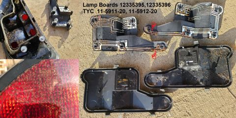 2003 Pontiac Grand Am - While diagnosing the inoperative reverse lights, I found the ant colony in the right taillight. The egg chamber was inside the lamp board,…