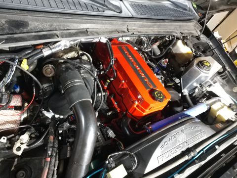 2010 Ford F-250 photo