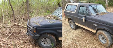 1983 Ford Bronco - I knocked a fairly-substantial tree down with the bumper, and then tried to drive over it to break its branches. But I got hung up on it fo…