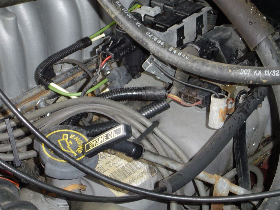 Engine bay with engine oil cap and wiring harnesses