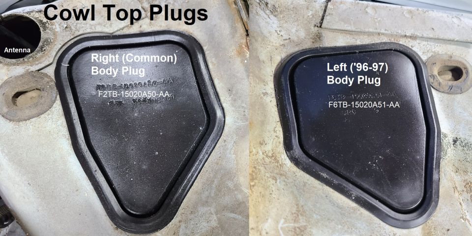 Cowl Top Plugs
IF THE IMAGE IS TOO SMALL, click it.

The left (driver's) plug was not used until '96 (as indicated by the F6 prefix) but fits '80-96/7.