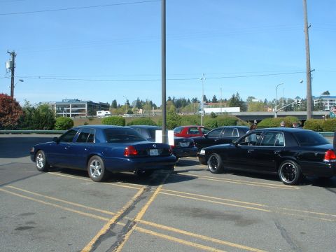 1999 Ford Crown Victoria - Multiple Ford Crown Victorias and a red sedan are parked in a lot under a clear blue sky.