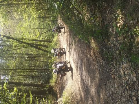 2017 Honda CBR1000F - Three motorcycles ride down a dirt path through a sun-dappled forest.