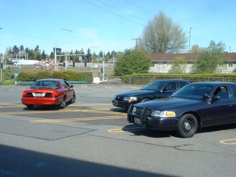 1999 Ford Crown Victoria - Three Ford Crown Victoria sedans are parked in a lot under a clear sky. One is red, and two are dark colored.