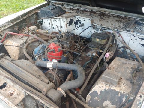 1977 Ford Bronco photo