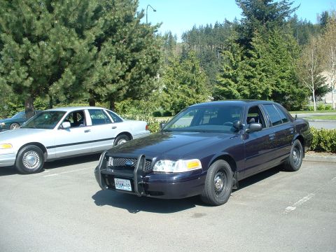 1999 Ford Crown Victoria - Two Ford Crown Victorias parked side-by-side in a parking lot with trees in the background.