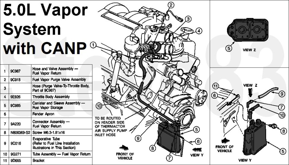 5.0L vapor system with CANP diagram showing fuel vapor components