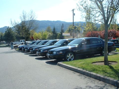 1999 Ford Crown Victoria - Several black 1999 Ford Crown Victoria sedans are lined up in a parking lot.