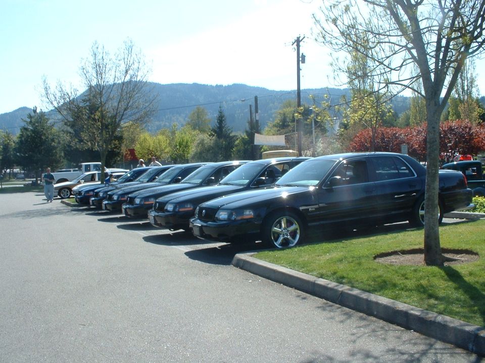 Black 1999 Ford Crown Victoria sedans parked in a row