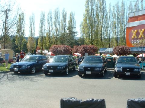 1999 Ford Crown Victoria - Four Ford Crown Victoria sedans are parked in a lot on a sunny day.