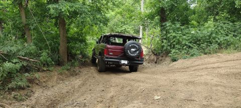 1996 Ford Bronco - A red 1996 Ford Bronco navigates a wooded dirt trail, its spare tire visible on the back.