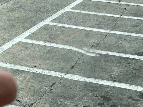 2015 Ford F-550 - A cracked windshield is visible in a parking lot with white lines.
